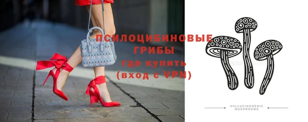 СК Белокуриха