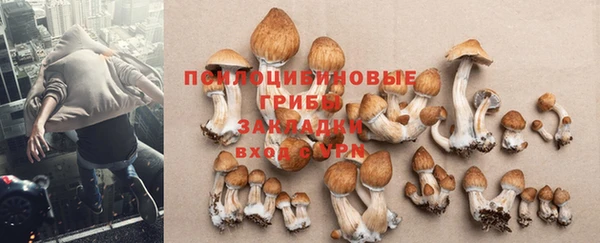 гашиш Беломорск